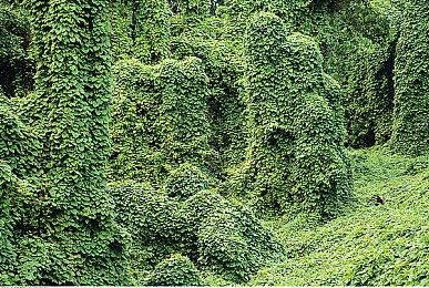 《漫威银河护卫队》首批评分出炉 IGN 8分